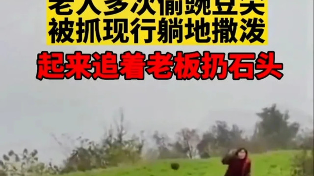 老人偷菜自己吃就不违法了吗？民警如此断案，苦主既好气又好笑