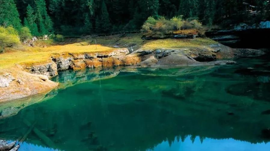 苏州|世间景,皆松潘!