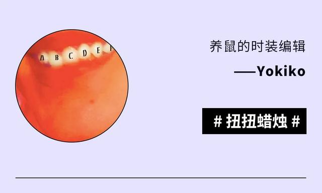 韭菜 编辑部｜本周编辑推荐，多少是有点口红试色细胞在身上的