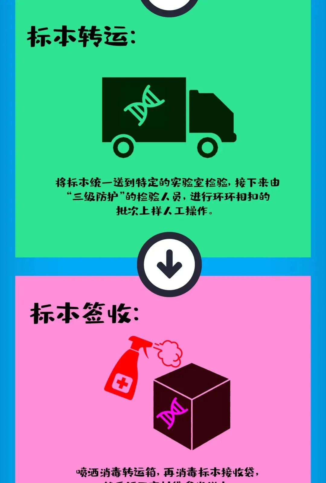 为什么要做多轮核酸？看完你就懂了！