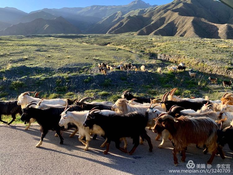 高原|中国第五大无人区哈拉湖、天峻石林、海西,越野穿越、露营、摄影