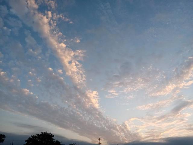 |钓鱼站队题:外出钓鱼,你是看时间?还是看天气?