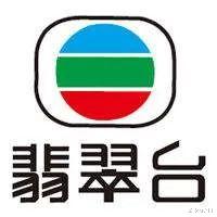 |我的偶像是那些港剧女主角