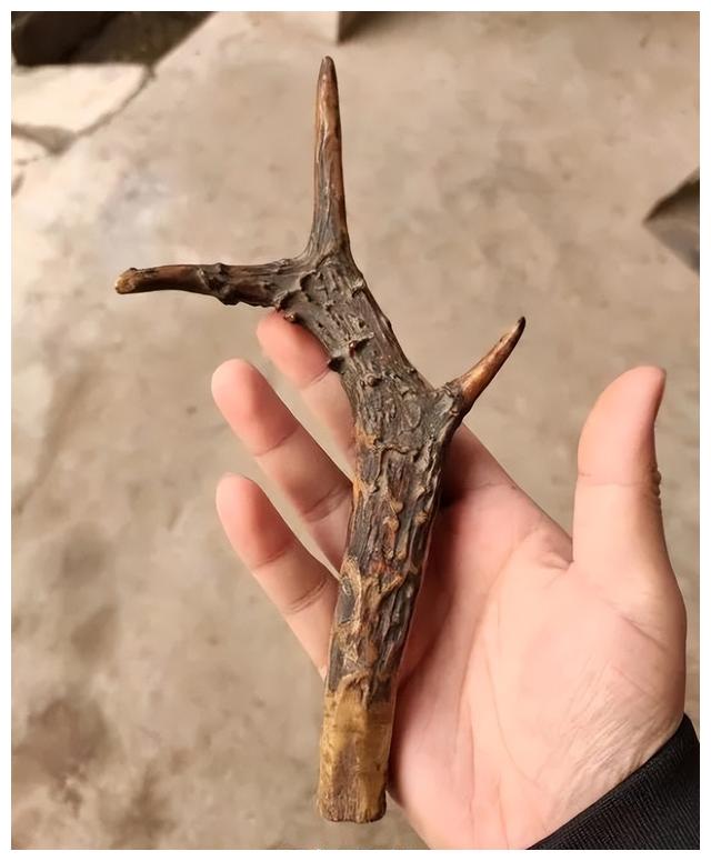 文玩|那些带尖的物件,在文玩人手里盘的晶莹剔透