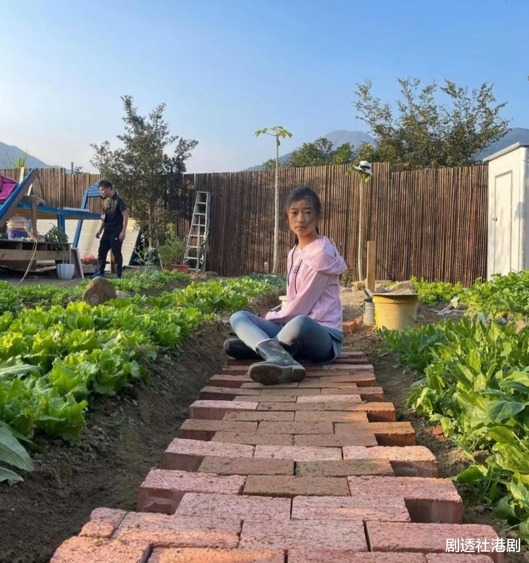 杨卓娜|生活自在!TVB视后姐姐大晒豪宅自家农场,家庭幸福更待继女为己出