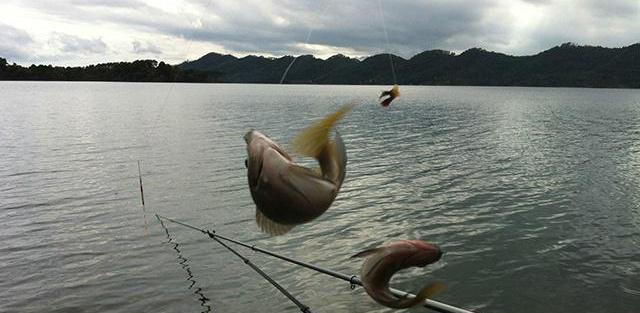 四川省|四川成都：一男子垂钓时被烧致死，疑因生火取暖发生意外