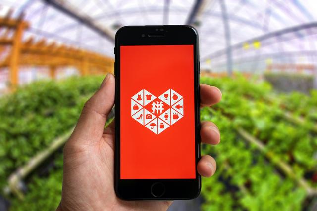 腾讯|除了农业，拼多多什么都不想说