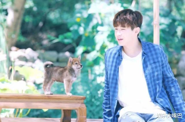 黄磊|虽说刘宪华很难回归《向往的生活》,但他将与黄磊合作“新综艺”