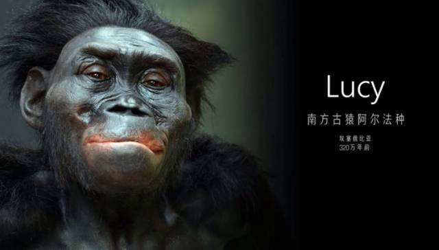 为什么总是男人高女人矮，动物界里大部分也是这样？