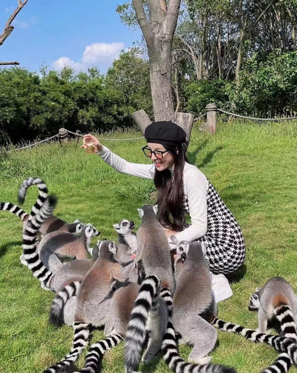 王思聪|王思聪带女子游玩，跪地为她们拍照显卑微，女子颜值不高引热议