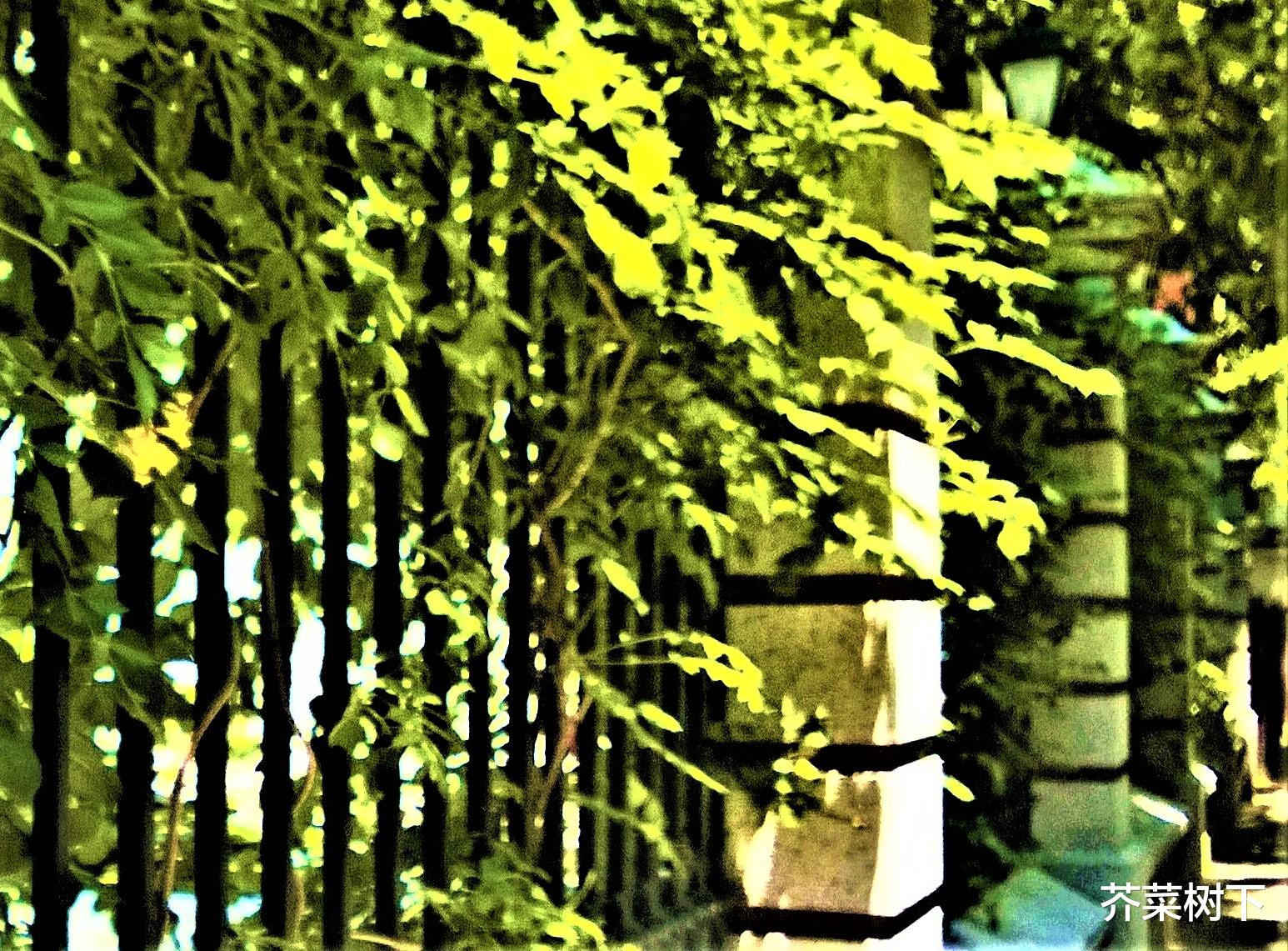 |看人看事，职场人自己有数