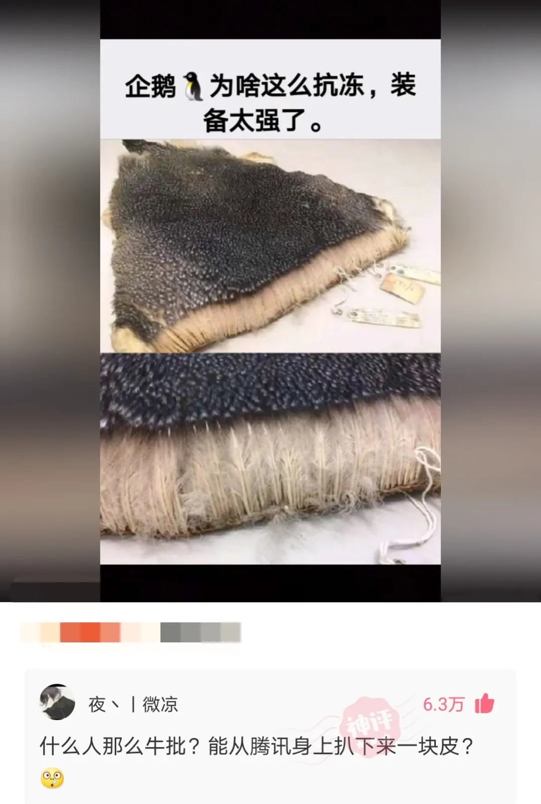 购房置业|神回复：花果山白宫出售，总价120亿，便宜点我就买了