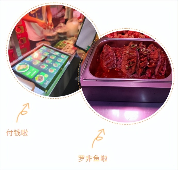 什么?南工校“细胞”出现了?