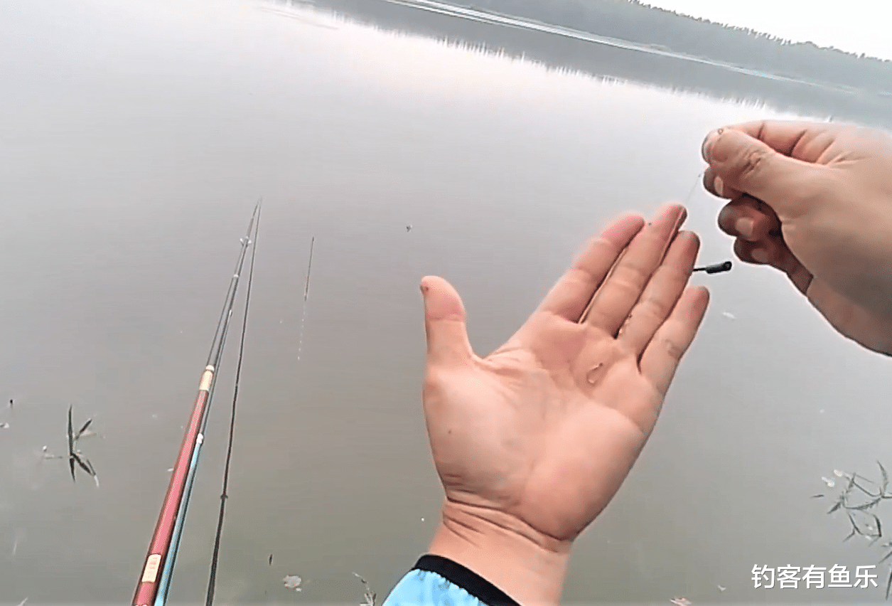 饵料|子线对钓鱼有什么影响?原来钓法、目标鱼不同,子线长短也不同