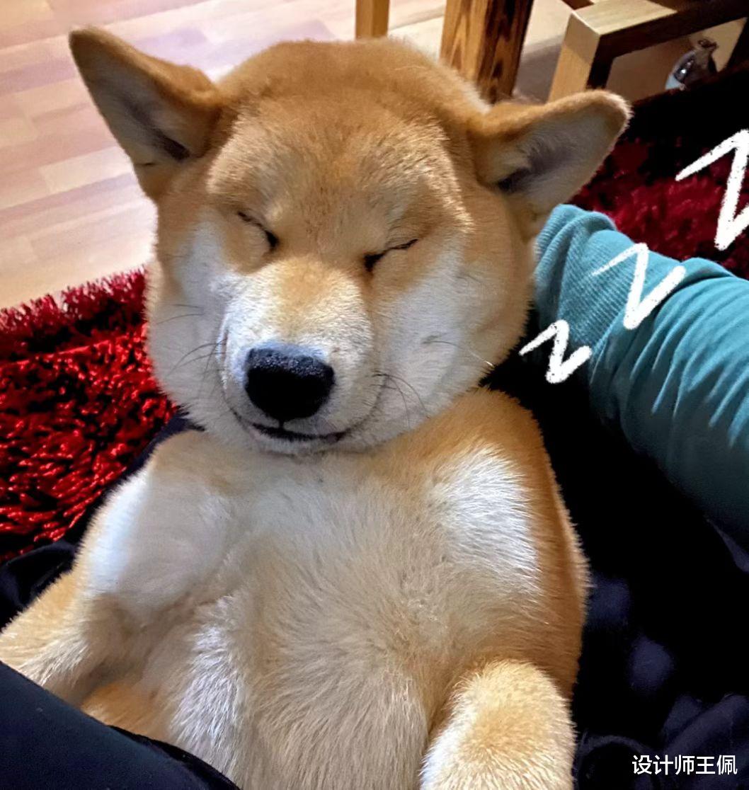 每次用洗衣机,洗完衣服总沾满毛絮?建议:从这3点下手解决问题