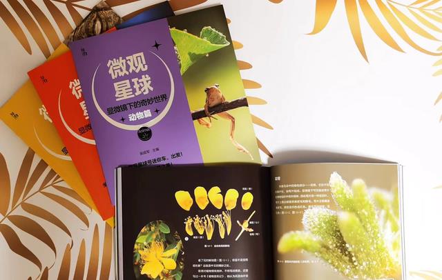 这个国庆假期,带娃坐上微观星球号出发,一起来感受科学之美吧!