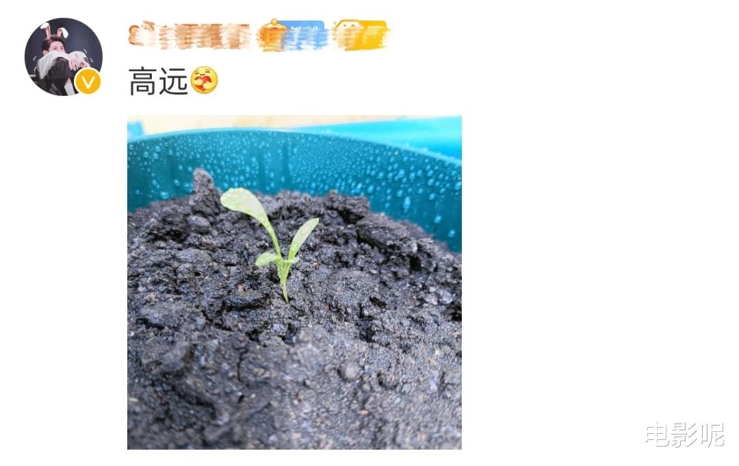 王源|王源分享春日随拍，造型稚嫩仿佛回到15岁，粉丝直呼王源永远年轻