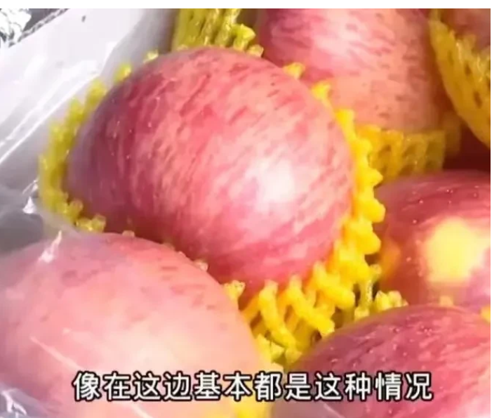 天津,大爷去批发市场买了一箱30斤的苹果,花了105元。但他万万没想到,纸箱居然藏着玄机!