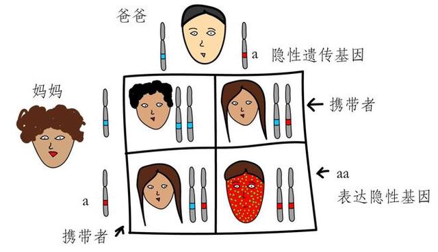 动物有没有“伦理”的意识,为什么?