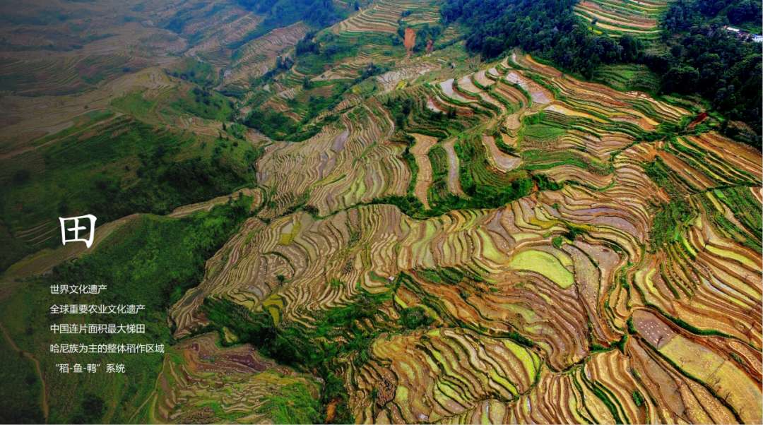 梯田|到红河苏红寨,体验宜居的半山康养生活!