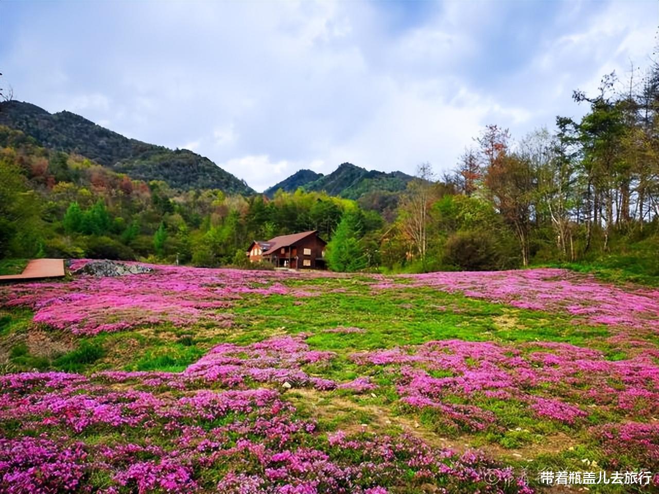 巫溪|巫溪旅游,这8个景点千万别错过;景色宜人只有最后两个收门票