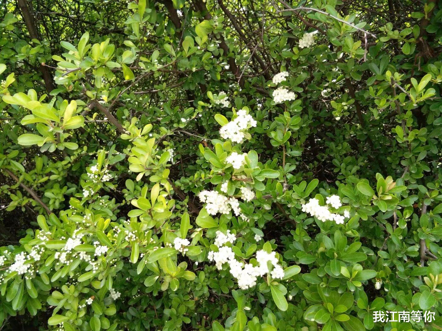 打工妹为了赚快钱,从事非法交易,还拉闺蜜入伙