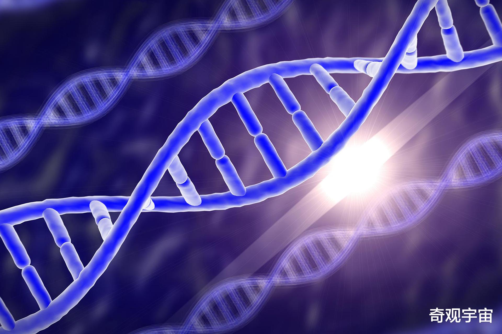 专家认为挨饿可以延年益寿?3万多个科学家表示认同,依据是什么?