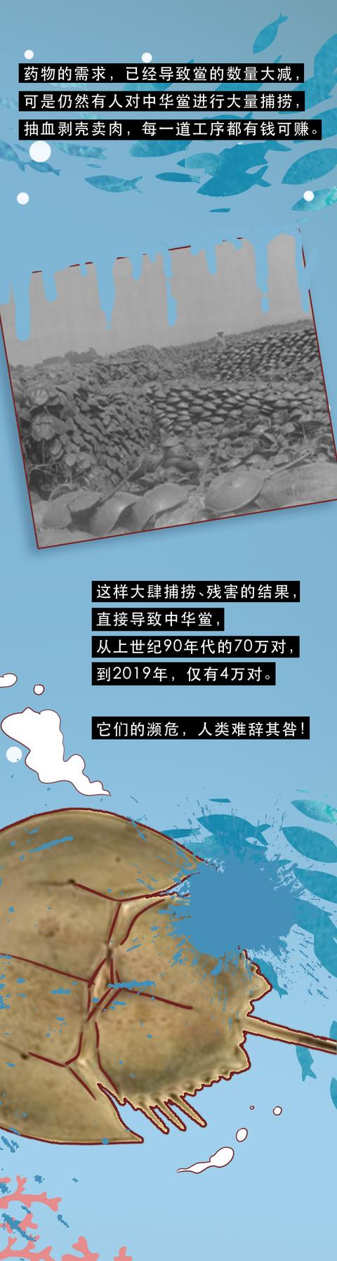 路飞|怀孕的妻子，被他们一点点榨干了鲜血