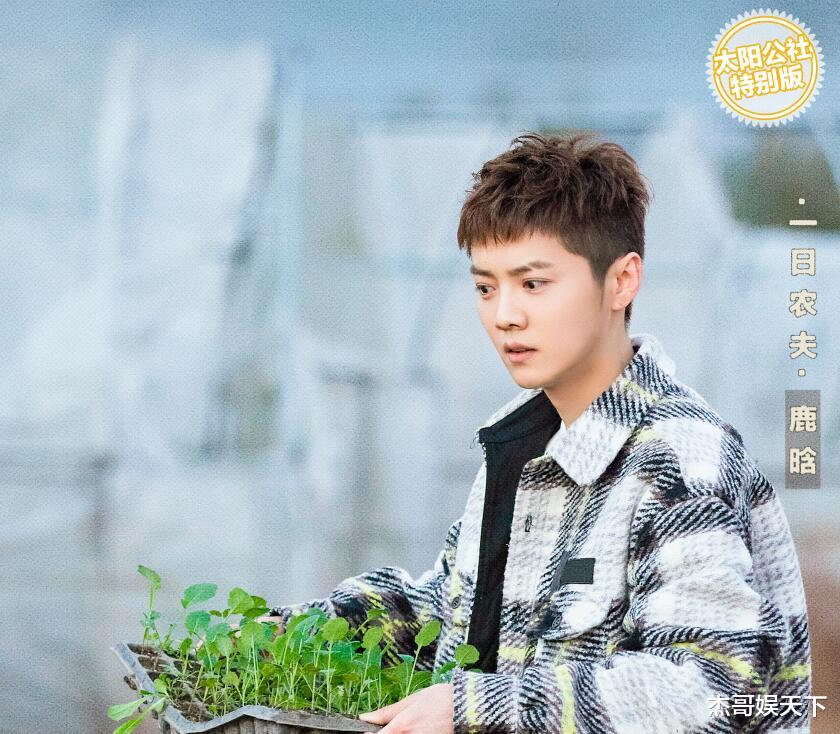 陈赫|《五哈》终于玩明白了，照猫画虎再次封神，陈赫功不可没