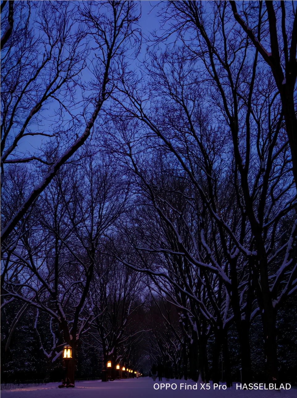 芯片|手机摄影“扫盲级”科普，藏在生活里的拍照玄学，从读懂芯片开始