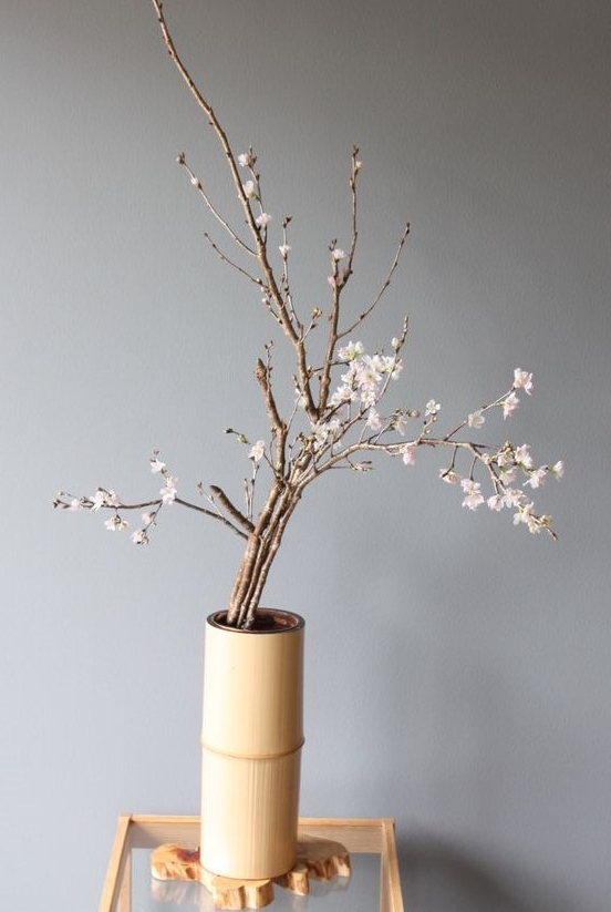 院子装修又出新花样，普通的材料反而更让人有好感，感觉更舒适