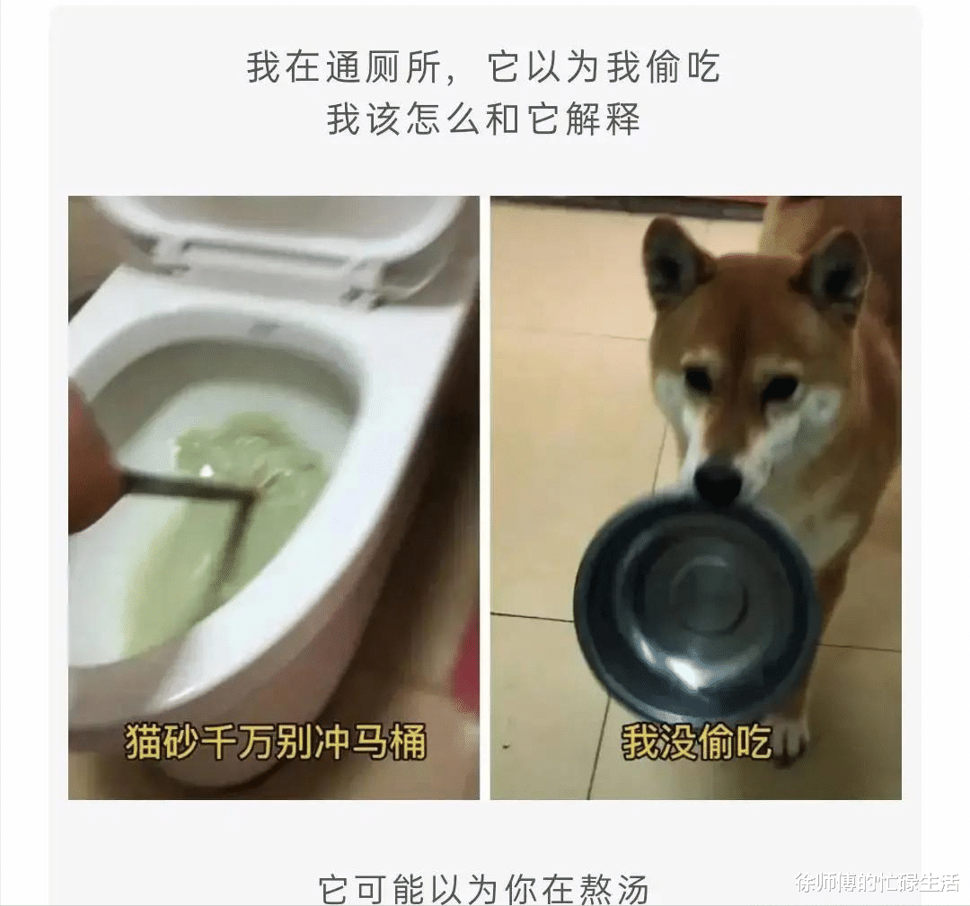 彩礼|“谈了6年的女友,丈母娘开口就要30多万彩礼”感觉我不配啊