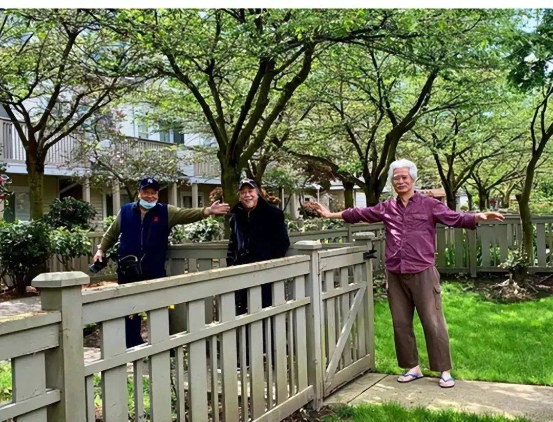 夏雨|76岁TVB视帝移民加拿大,卖内地500万祖屋,去国外当网红