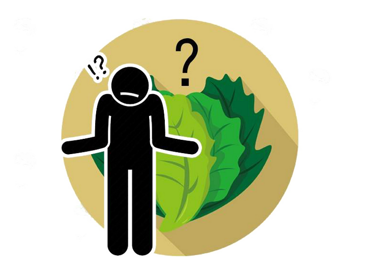 祛湿|幽门螺旋杆菌是如何一步步侵蚀胃?提醒:预防它,做好3点