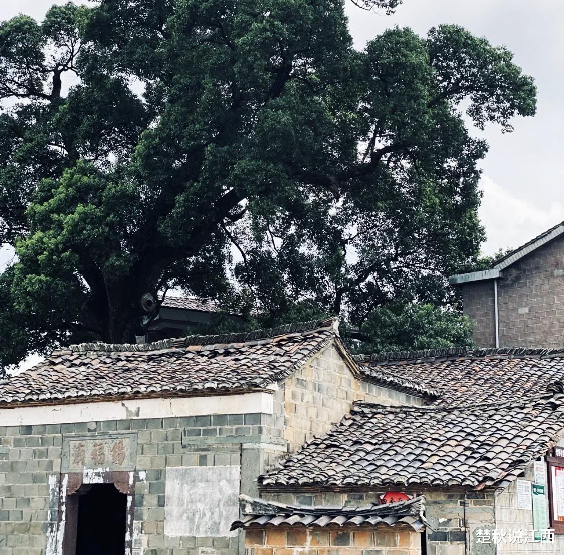 江西|走进江西的这个古村，就仿佛走进了明清的过往岁月