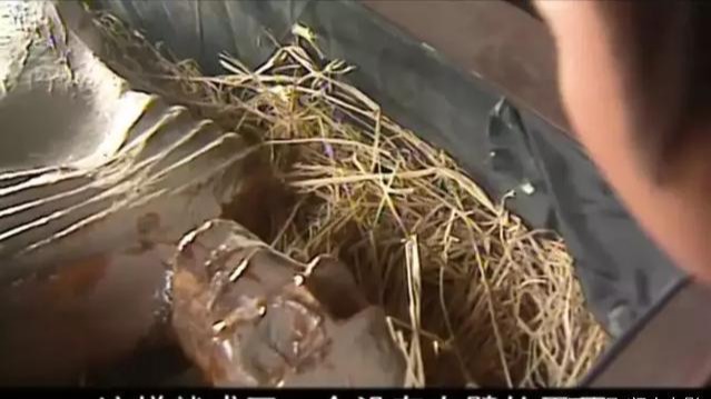 包拯|二十多年前的经典之作，不该因抄袭而埋没