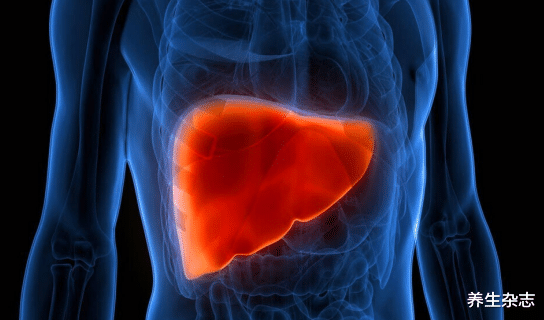 肝脏|肝功能检查正常也可能患癌?提醒:有关肝脏的3个检查不可或缺,要牢记