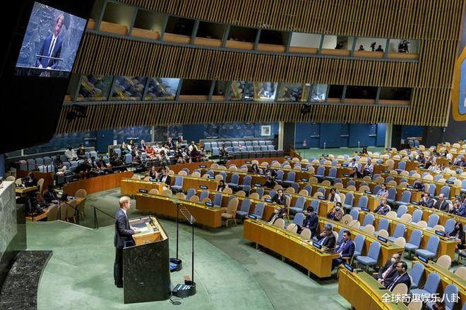 哈里王子|梅根想搞清楚，哈里王子在联合国演讲时，为何现场满是空座位？