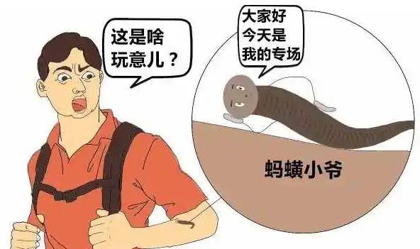 骨质增生|蚂蟥为什么遇盐就化为一滩血水?它能在我们体内生存吗?