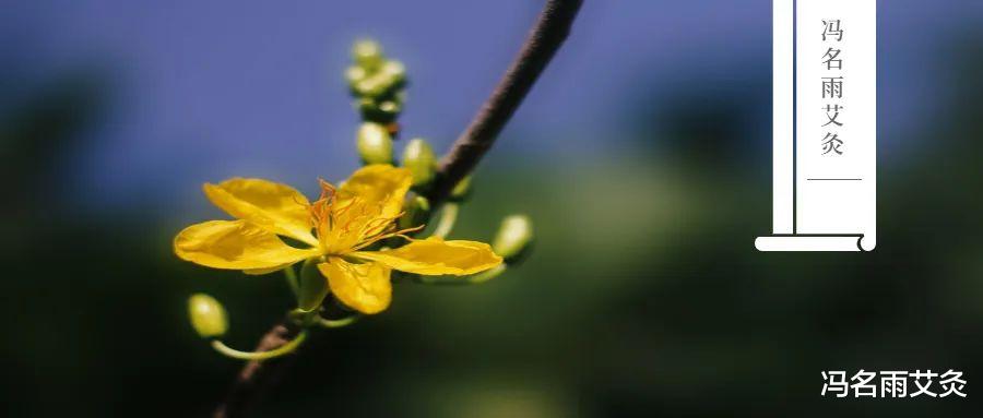 养生|补阳：夏季养生，让你阳气爆棚的三个方法