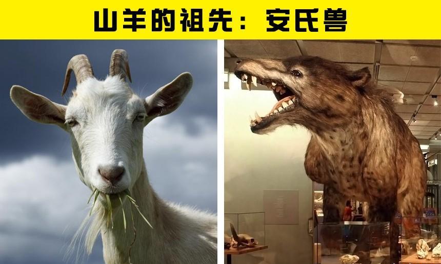 7种现代动物与史前祖先的大对比
