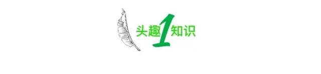 热搜上“女孩吐槽追求者抠门”事件，炸出了当下社会多少“捞女”！