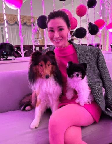 李嘉欣|李嘉欣夫妇开家族派对,20亿豪宅曝光