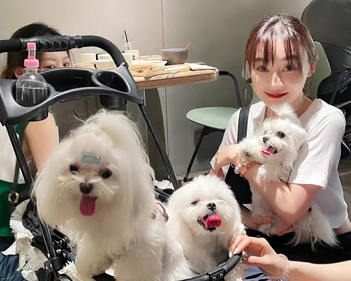 袁姗姗|袁姗姗武汉过早被偶遇，大热天穿毛线背心露肚脐，鼻子怪异疑整容