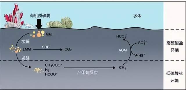 气候临界点加速？甲烷“超级排放者”被发现，未来生命或很凄惨？