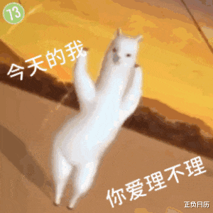 终于可以休息了啊啊啊