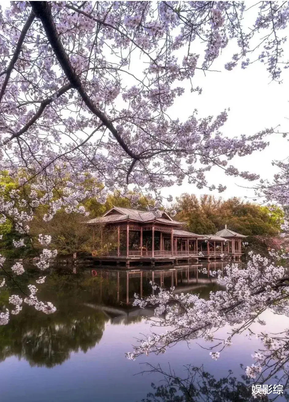 周迅|周迅到杭州西湖拍写真，泛舟水上，梦回《人间四月天》