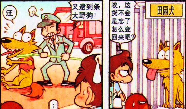 羊驼|奋豆变身“白马王子”美女投怀送抱?阿星:快醒醒,你是一只羊驼