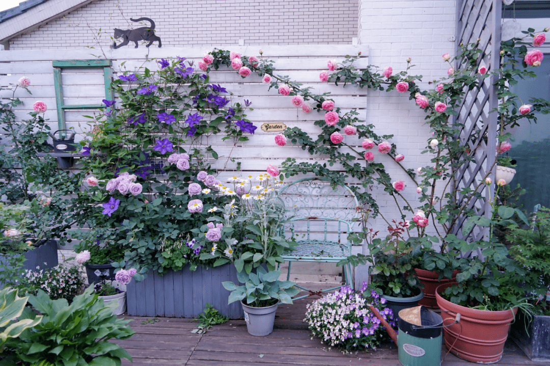 买了栋，复式双露台房，历时4年改造成露台花园，太好看了