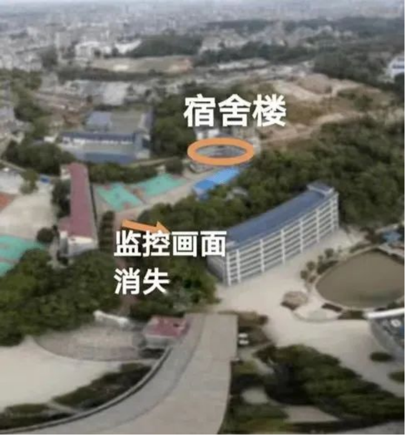 什么情况?多起孩子离奇失踪案,一个比一个离奇